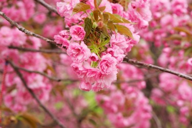 湖州南浔区6线下个人借款平台一站式服务，轻松解决资金难题