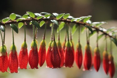 湖州南浔区6零用贷短借：轻松解决临时资金需求