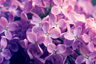 湖州南浔区6企业急用钱贷款攻略：快速融资解燃眉之急